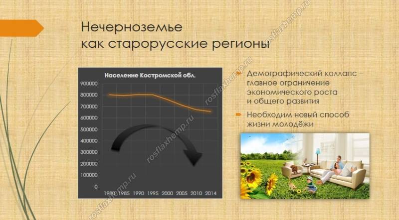 Что такое демографический коллапс